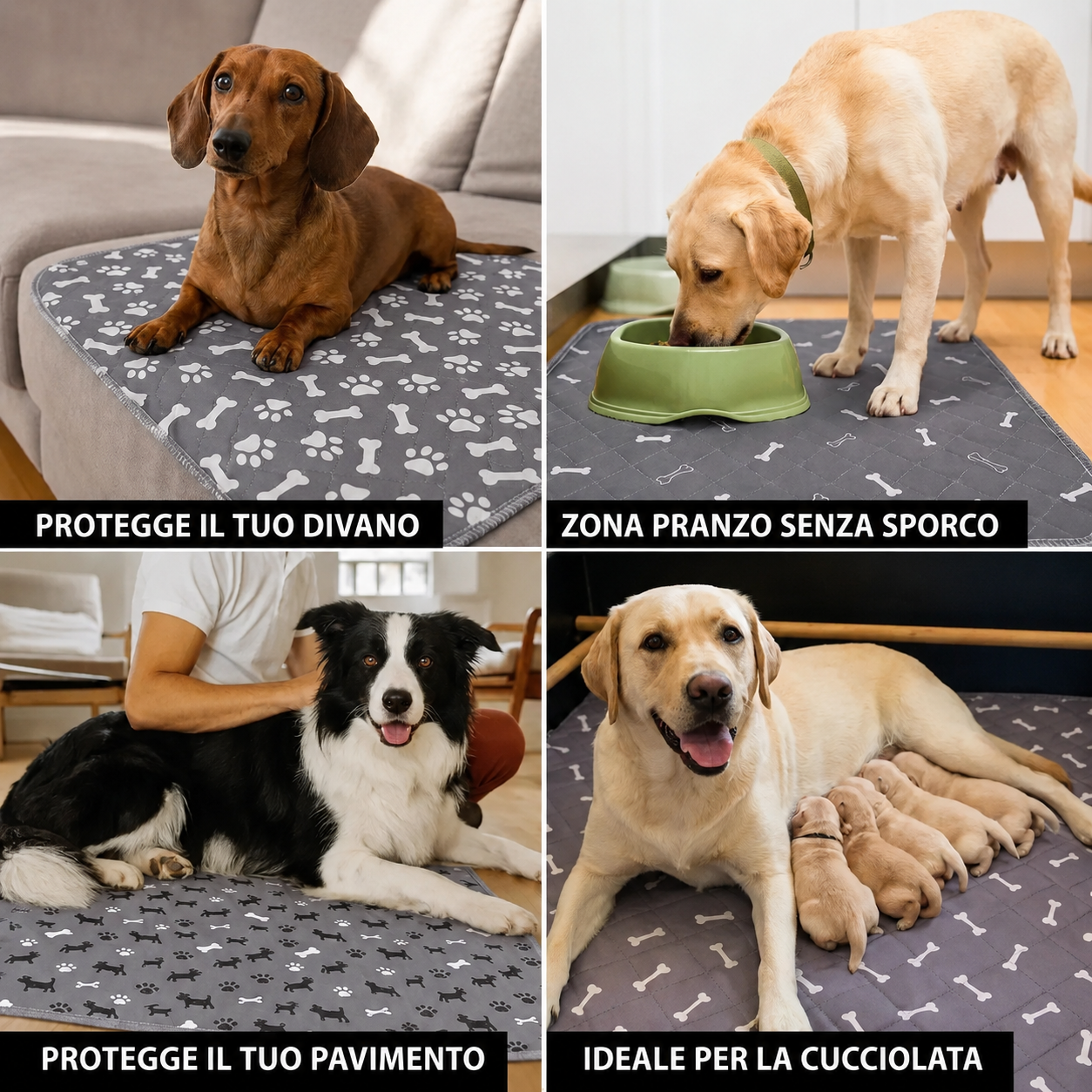 DryPaws™ – L’Ultimo Tappetino Assorbente di Cui Avrai Bisogno