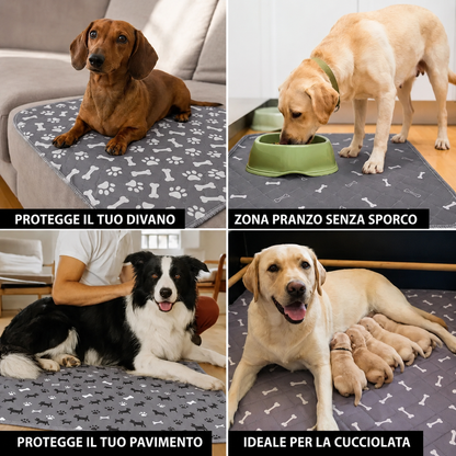 DryPaws™ – L’Ultimo Tappetino Assorbente di Cui Avrai Bisogno