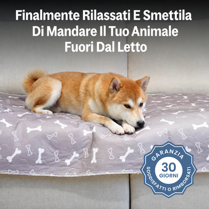 DryPaws™ – L’Ultimo Tappetino Assorbente di Cui Avrai Bisogno