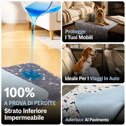 DryPaws™ – L’Ultimo Tappetino Assorbente di Cui Avrai Bisogno