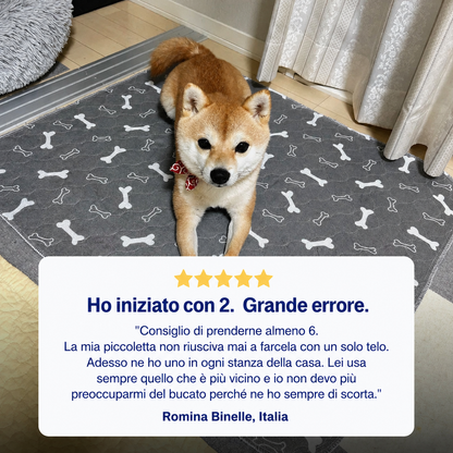 DryPaws™ – L’Ultimo Tappetino Assorbente di Cui Avrai Bisogno