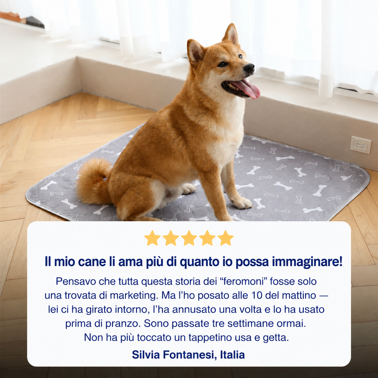 DryPaws™ – L’Ultimo Tappetino Assorbente di Cui Avrai Bisogno