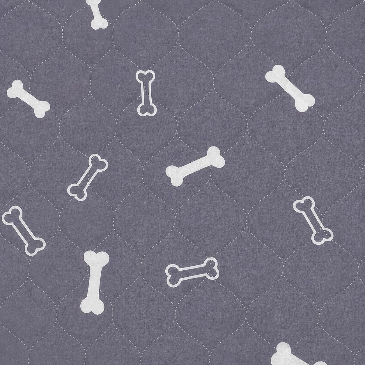 DryPaws™ – L’Ultimo Tappetino Assorbente di Cui Avrai Bisogno