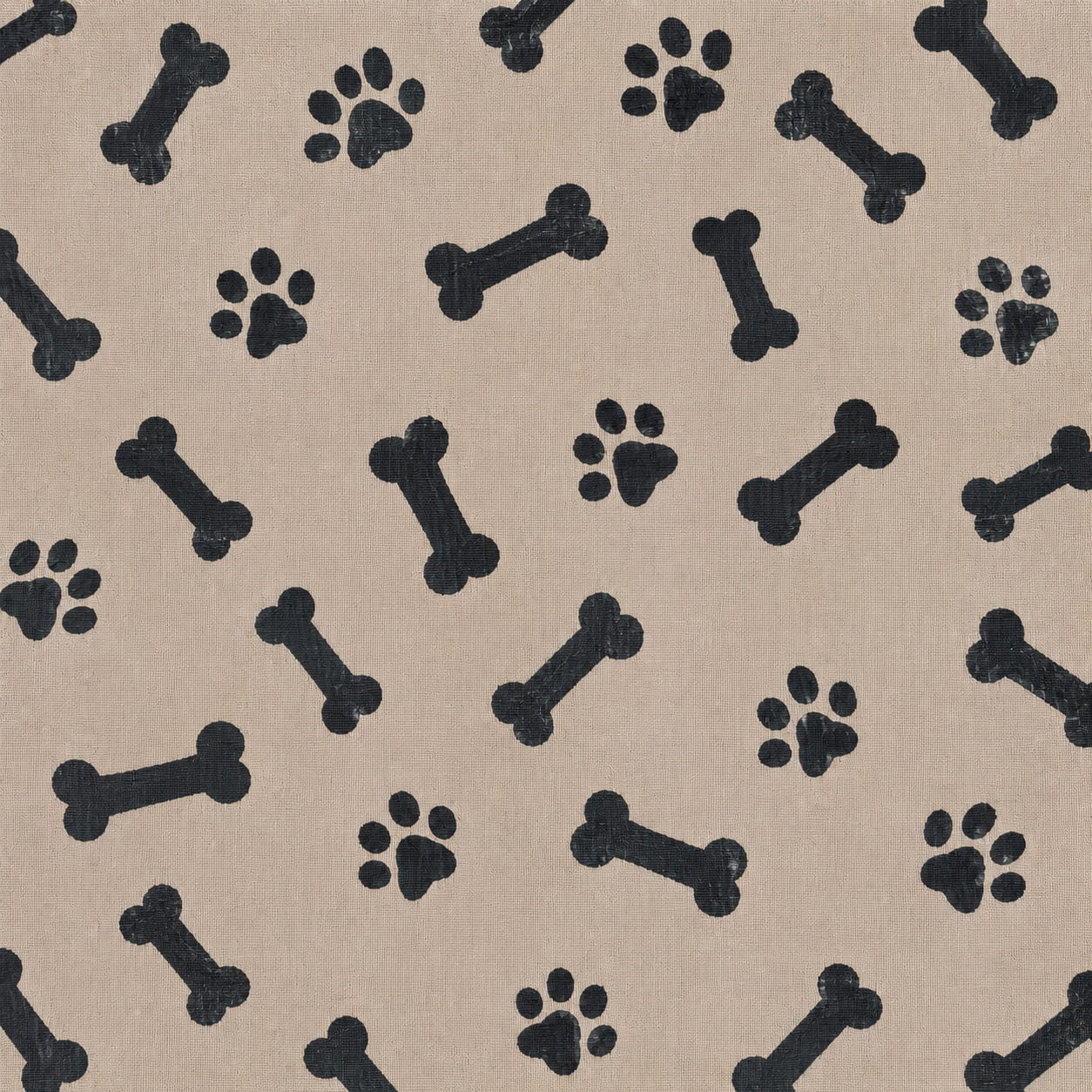 DryPaws™ – L’Ultimo Tappetino Assorbente di Cui Avrai Bisogno