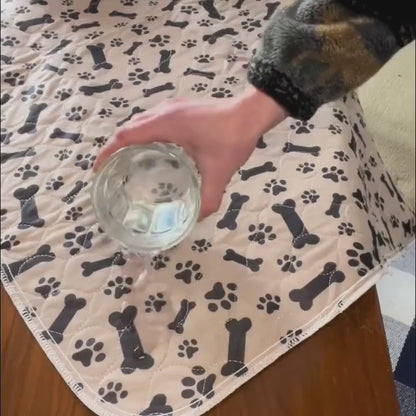 DryPaws™ – L’Ultimo Tappetino Assorbente di Cui Avrai Bisogno